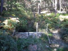 La eficacia y belleza de lo sencillo