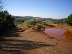 La eficacia y belleza de lo sencillo
