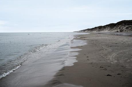 Casa danesa camuflada en la naturaleza