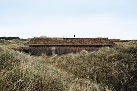Casa danesa camuflada en la naturaleza