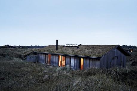 Casa danesa camuflada en la naturaleza