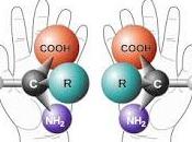 Efectos Quiralidad Celular desarrollo control Diabetes