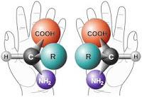 Efectos de la Quiralidad Celular en el desarrollo y control de la Diabetes