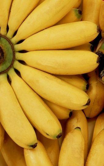 Los 10 carbohidratos que todo ciclista debe amar