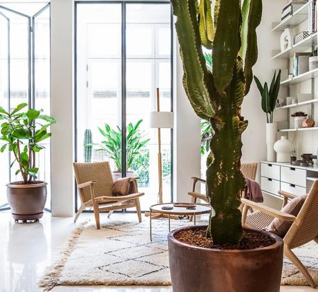 Máximo espacio de almacenaje con mobiliario a medida de suelo a techo en Barcelona