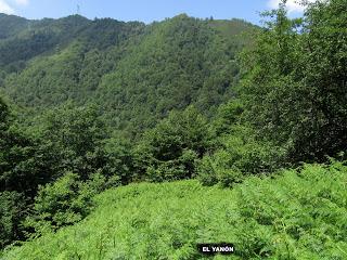 El Ruchu-El Brañil.lín-El Yanón-Los Mestos