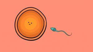 ¿cuáles Eran Las Probabilidades De Que Existieras? ¿cuáles Eran Las Probabilidades De Que Existieras?