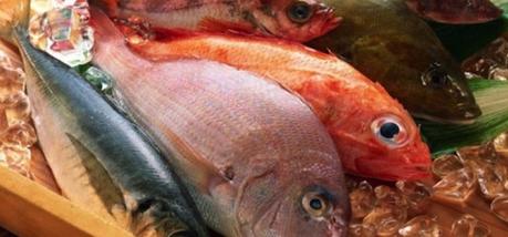 Tipos de carne: propiedades e impacto en la salud El pescado, un tipo de carne