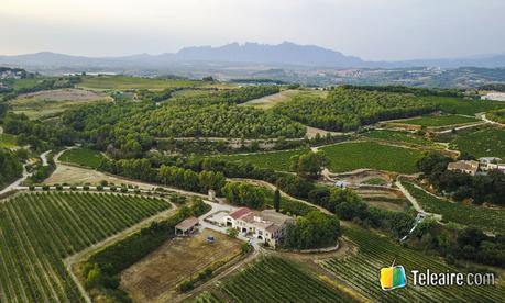 masias, viñas y monserrat al fondo
