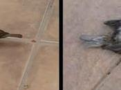 Reflexión sobre Vida