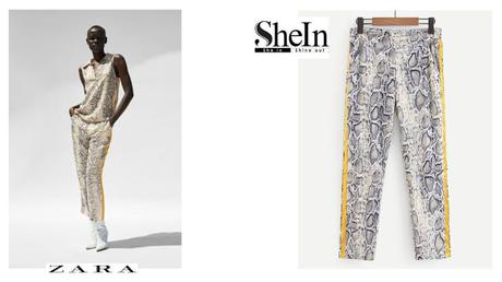 A la busqueda del clon.