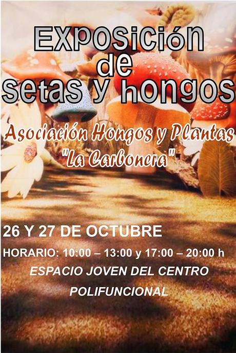 Planes en Ponferrada y El Bierzo para el fin de semana. 26 al 28 de octubre 2018