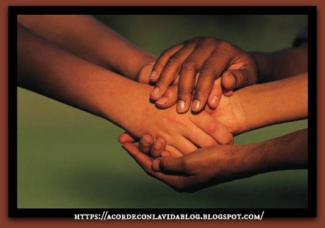 Reflexión sobre la Vida