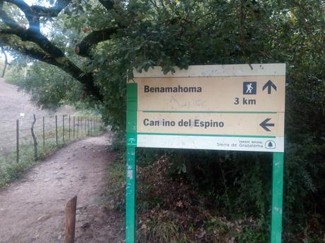 Sendero del Río Majaceite