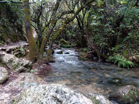 Sendero del Río Majaceite