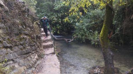 Sendero del Río Majaceite