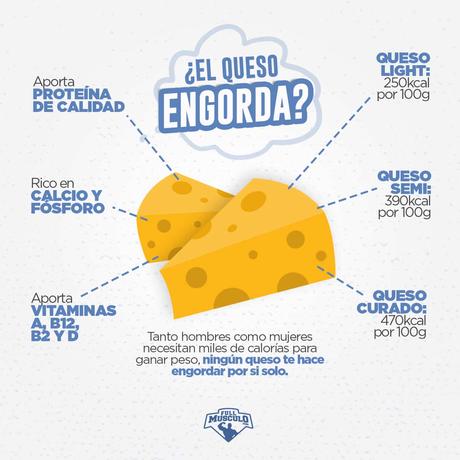 el queso engorda ?