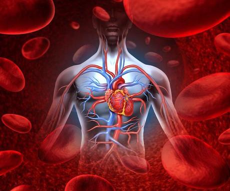 Una acumulación de líquido alrededor de los músculos del corazón causa taponamiento cardíaco