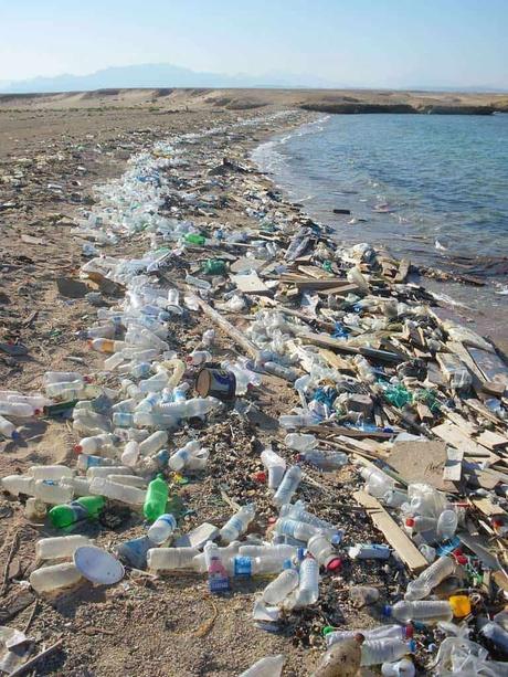 Europa “Prohibición de plasticos de un solo uso para el 2021”
