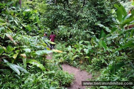 Doi Inthanon, tribus, arrozales y cascadas en el norte de Tailandia