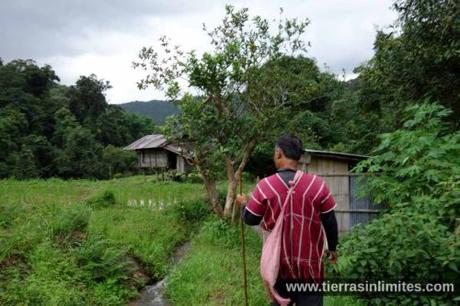 Doi Inthanon, tribus, arrozales y cascadas en el norte de Tailandia