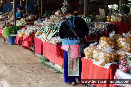 Doi Inthanon, tribus, arrozales y cascadas en el norte de Tailandia