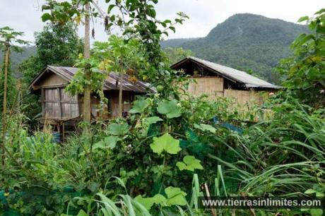 Doi Inthanon, tribus, arrozales y cascadas en el norte de Tailandia