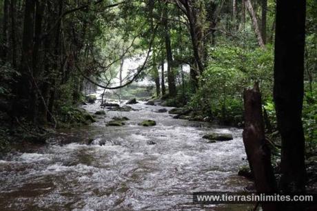 Doi Inthanon, tribus, arrozales y cascadas en el norte de Tailandia