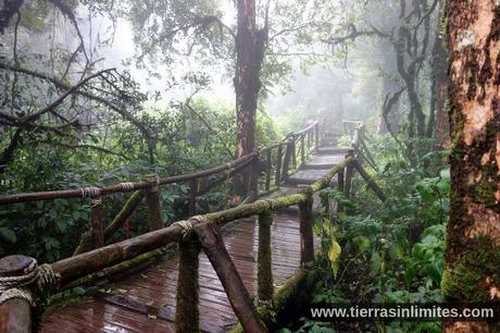 Doi Inthanon, tribus, arrozales y cascadas en el norte de Tailandia