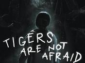 Vuelven (Tigers afraid)