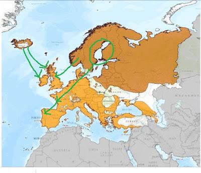 Migración de zorzal alirrojo
