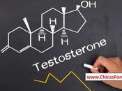 Testosterona Andrógenos