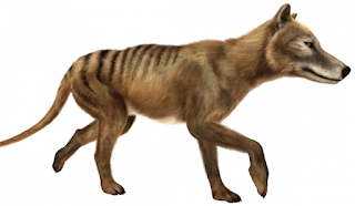 Encyclopedia of Extinct Animals (2009)