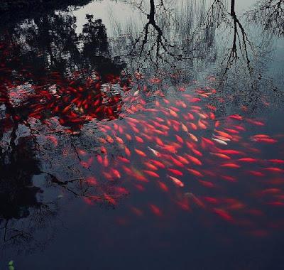 La tumba de Franco, su legado y la condena del Parlamento Europeo.