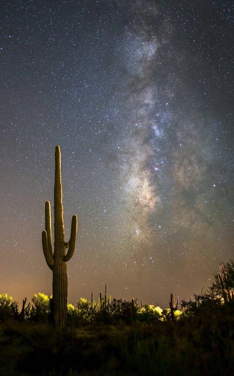 Insight Astronomy Photographer of the Year - TuParadaDigital 