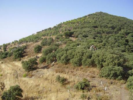 El Ídolo tallado por pastores en roca en la Sierra de Noez.