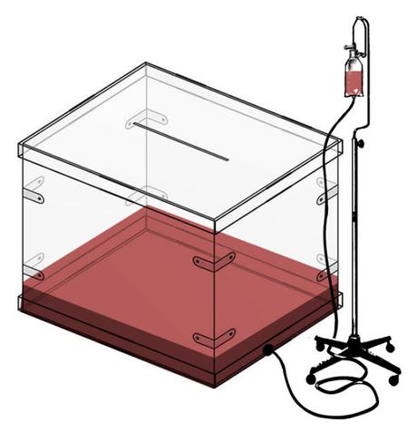 [EUROPA] ¿Déficits democráticos en la UE? ¿Y en sus Estados, no?...