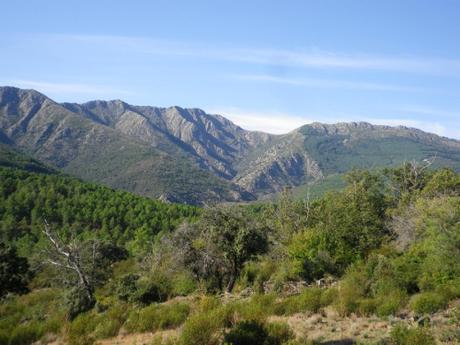 Te damos una pista de la Sierra Norte