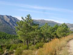 Te damos una pista de la Sierra Norte