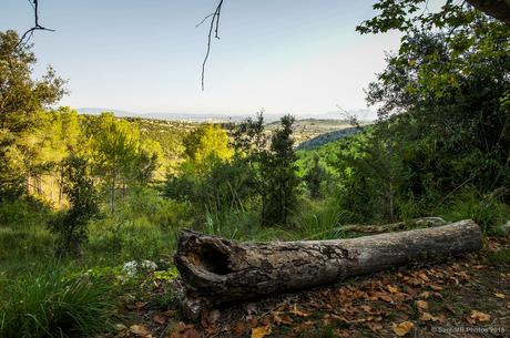 El Penedès por la mañana