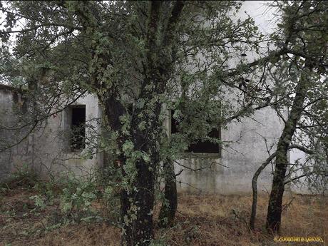 Estación de tren sin tren