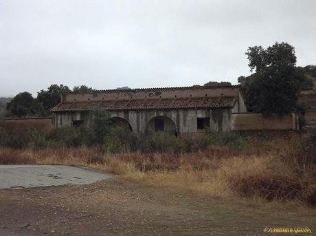 Estación de tren sin tren