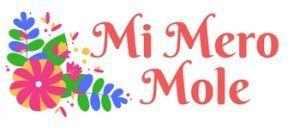 Los 26 mejores blogs de cocina vegana Los 26 mejores blogs de cocina vegana