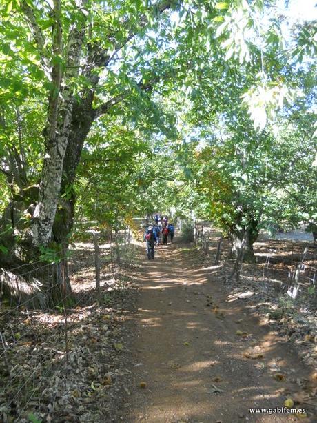 Ruta por Fuenteheridos