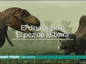 dinosaurio: tierra Mundo Today)