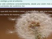 Curso basado proceso autorealizacion blay, comienzo noviembre.