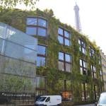 El Museo de Quai Branly