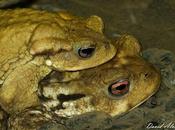 Nunca llueve gusto todos