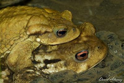 Nunca llueve a gusto de todos