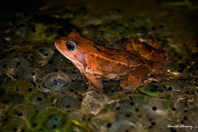 Nunca llueve a gusto de todos